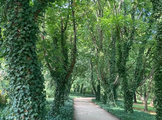 Green Park Downtown وارسو